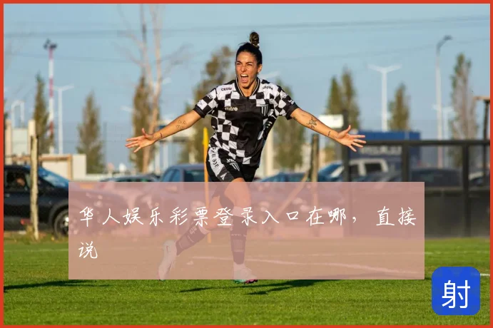 华人娱乐彩票登录入口在哪,直接说